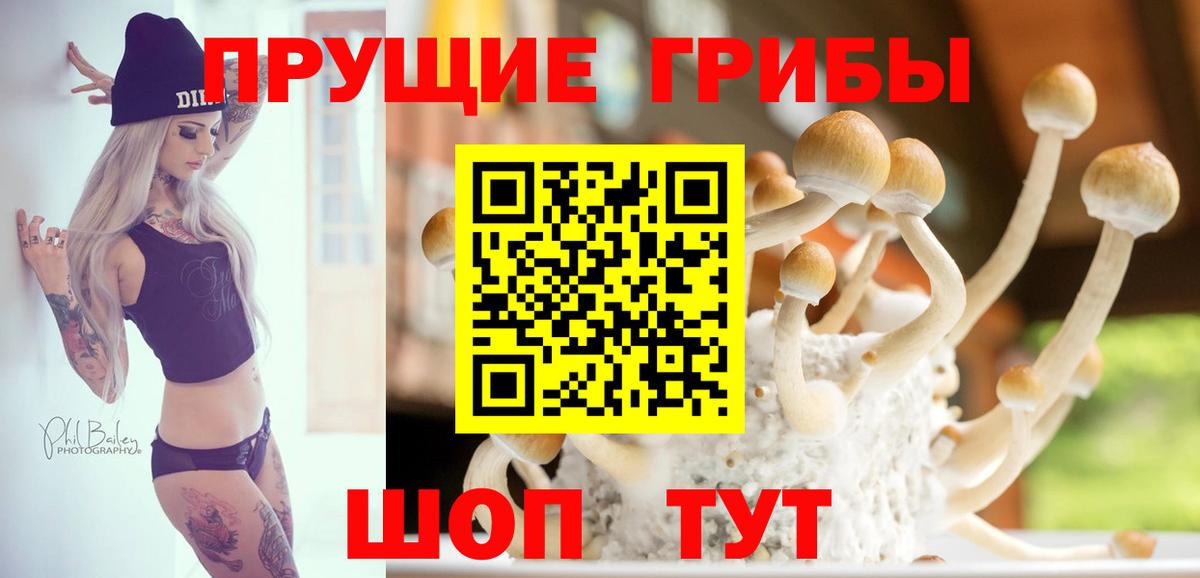 Псилоцибиновые грибы мицелий Россошь