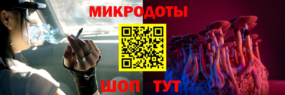 Россошь  наркота  Вход с VPN  Галлюциногенные грибы Psilocybe 
